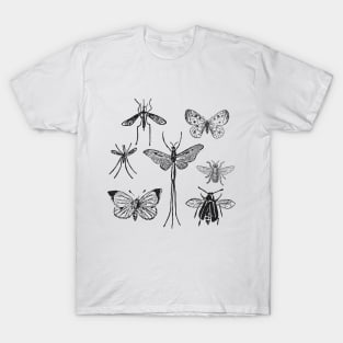 Moths & Butterflies & Insects T-Shirt